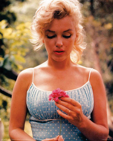 (image for) *Marilyn Flower - Click Image to Close