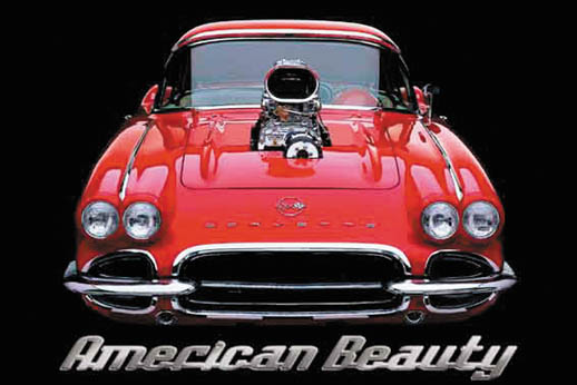 (image for) American Beauty - Click Image to Close