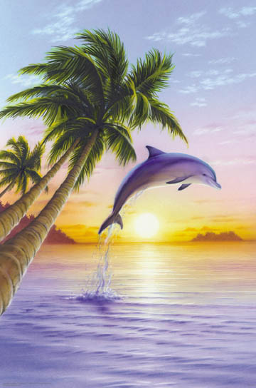 (image for) Dolphin Sunrise - Click Image to Close