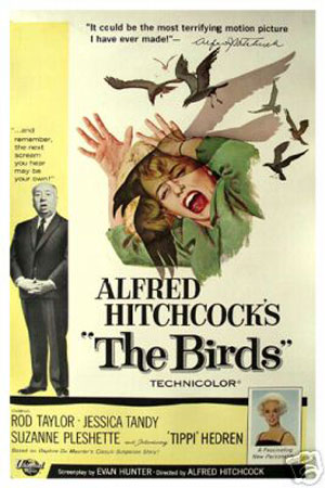 (image for) The birds Hitchcock