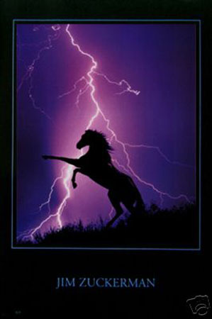 (image for) Lightning horse